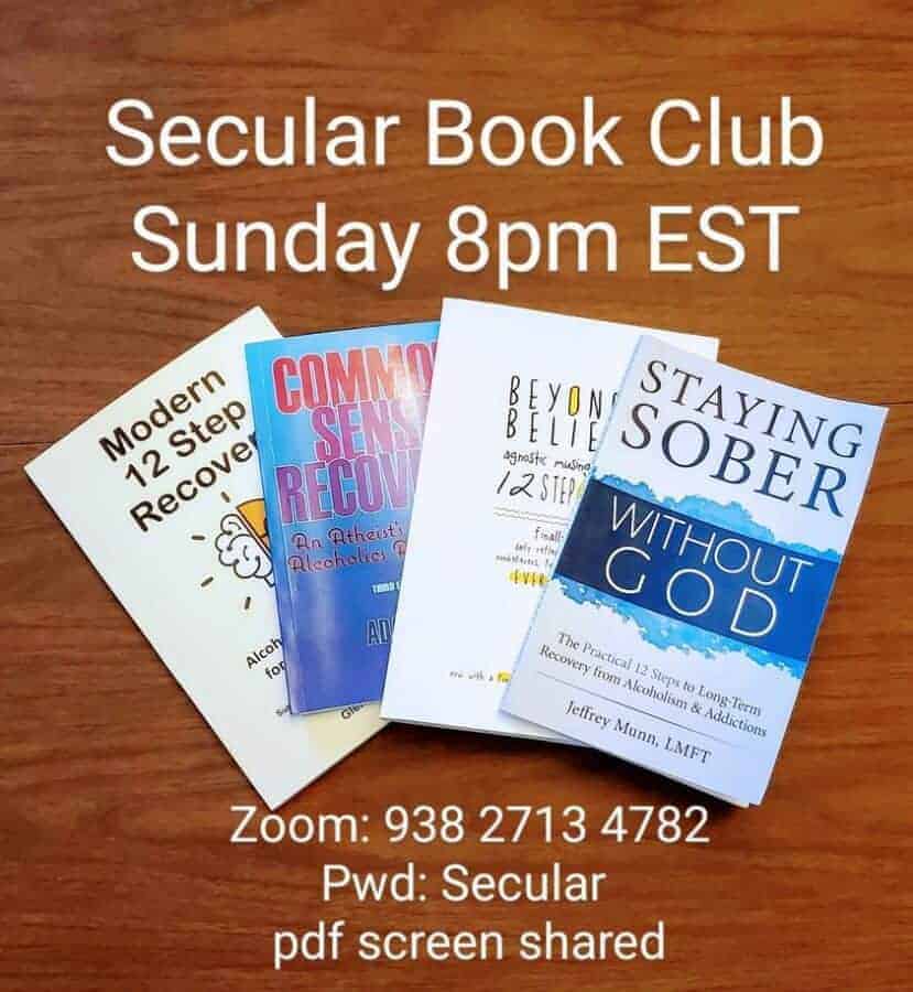 The Secular Recovery Group