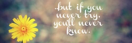 if you never try